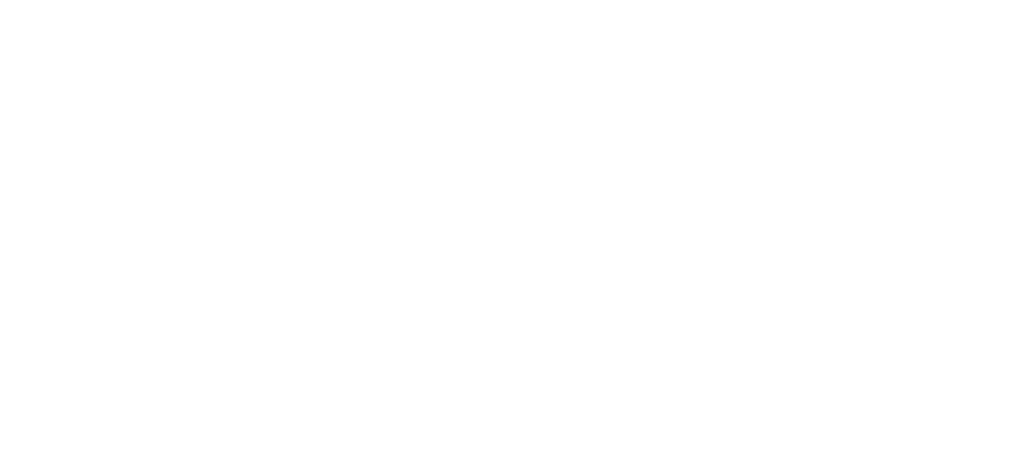 Bionaut