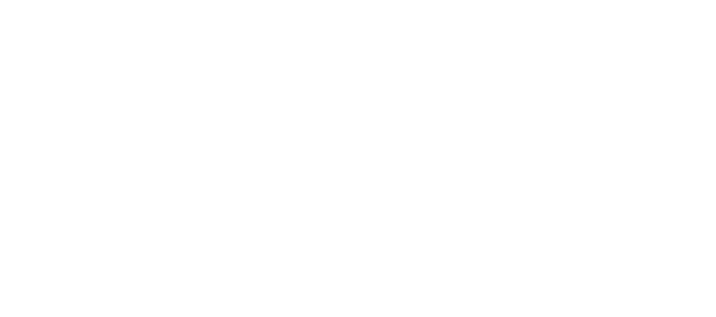 Bionaut
