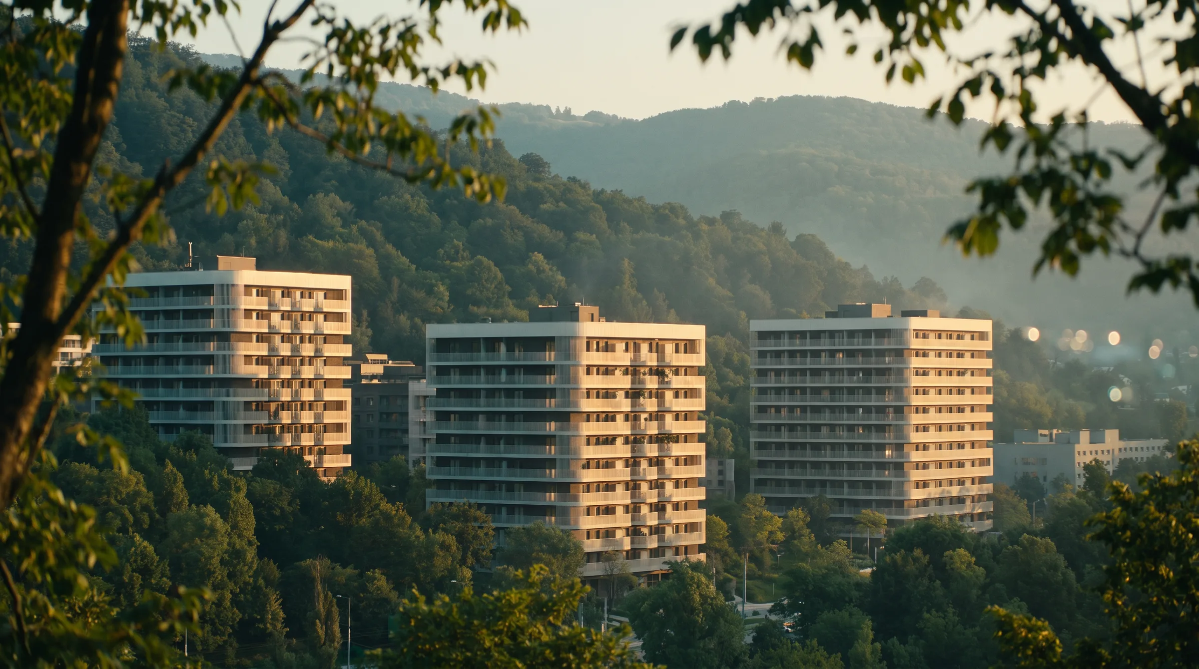 Medze towers at golden hour above the forest