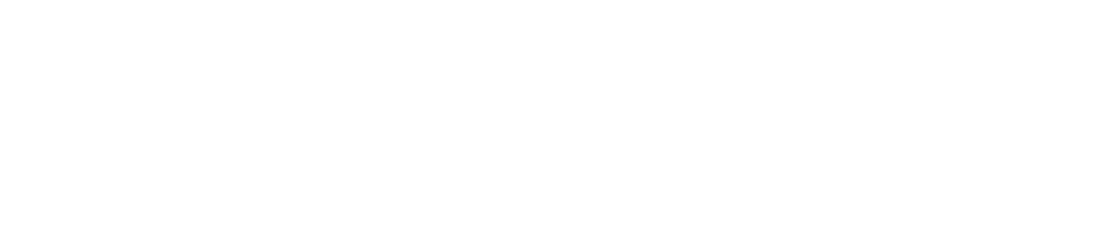 Česká asociace AI logo