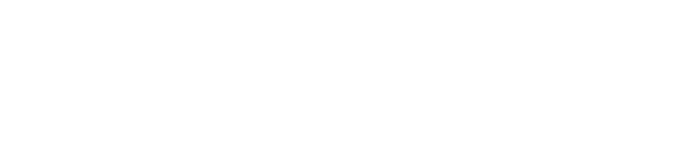 Česká asociace AI logo